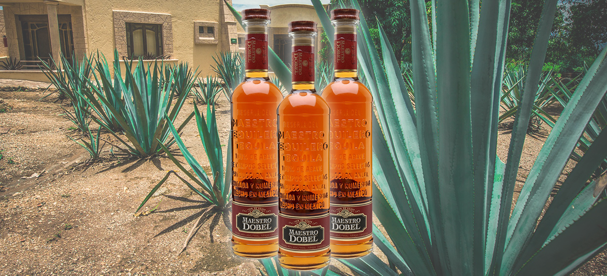 Photo for: Tequila Of The Year Goes To Maestro Dobel Añejo