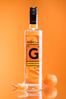 Logo for: G+ Tangerine Edition